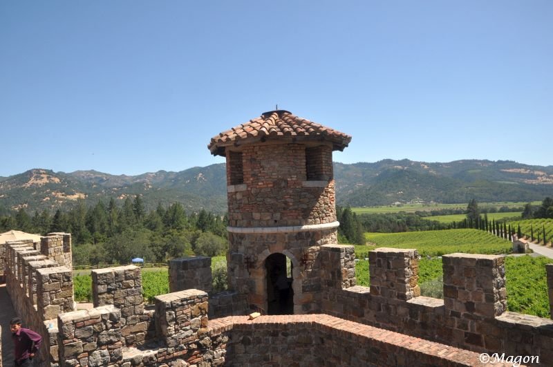 Castello Di Amorosa: каменная башня с черепичной крышей над виноградниками